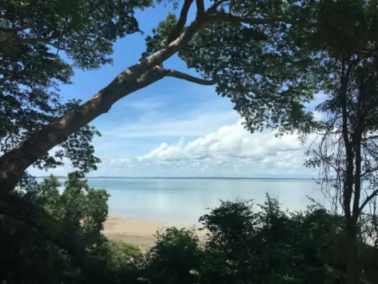 Settle in Darwin: Northern Territory's Tropical Capital