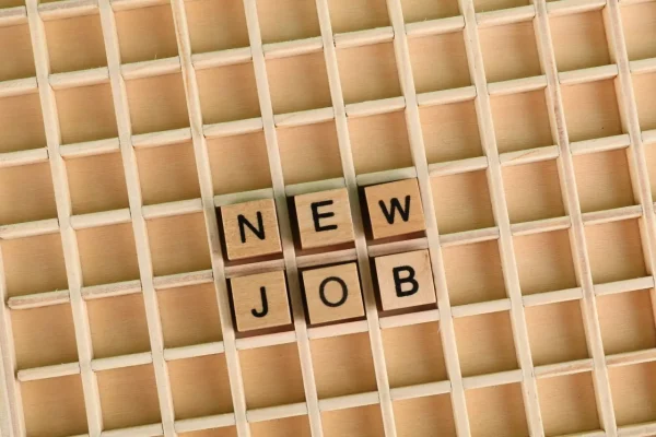 Changing Jobs with an EU Blue Card: Key Regulations to Know