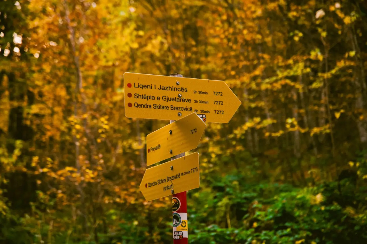 EB-3 vs. German Skilled Immigration: Comparing the Two Paths