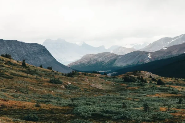 Express Entry vs. PNP: Which Pathway Should You Choose to Immigrate to Canada?