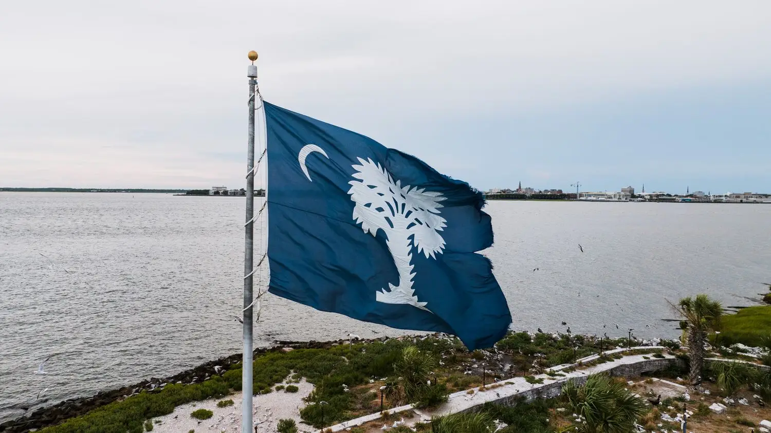 Immigration to South Carolina: Charleston